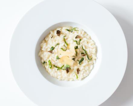 Risotto - CTC Hotel Verona