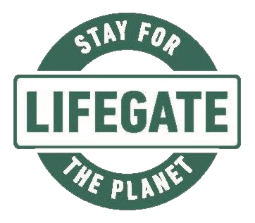 Stay for the Planet Logo